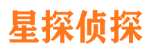 安定寻人公司